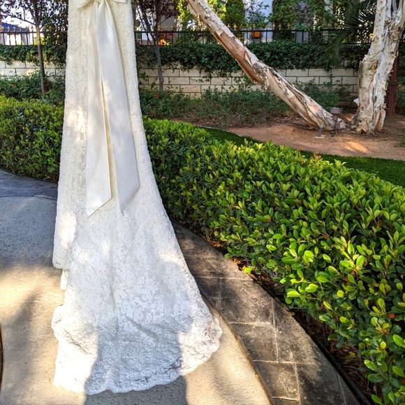 Wedding Gown - Picture 4 of 6